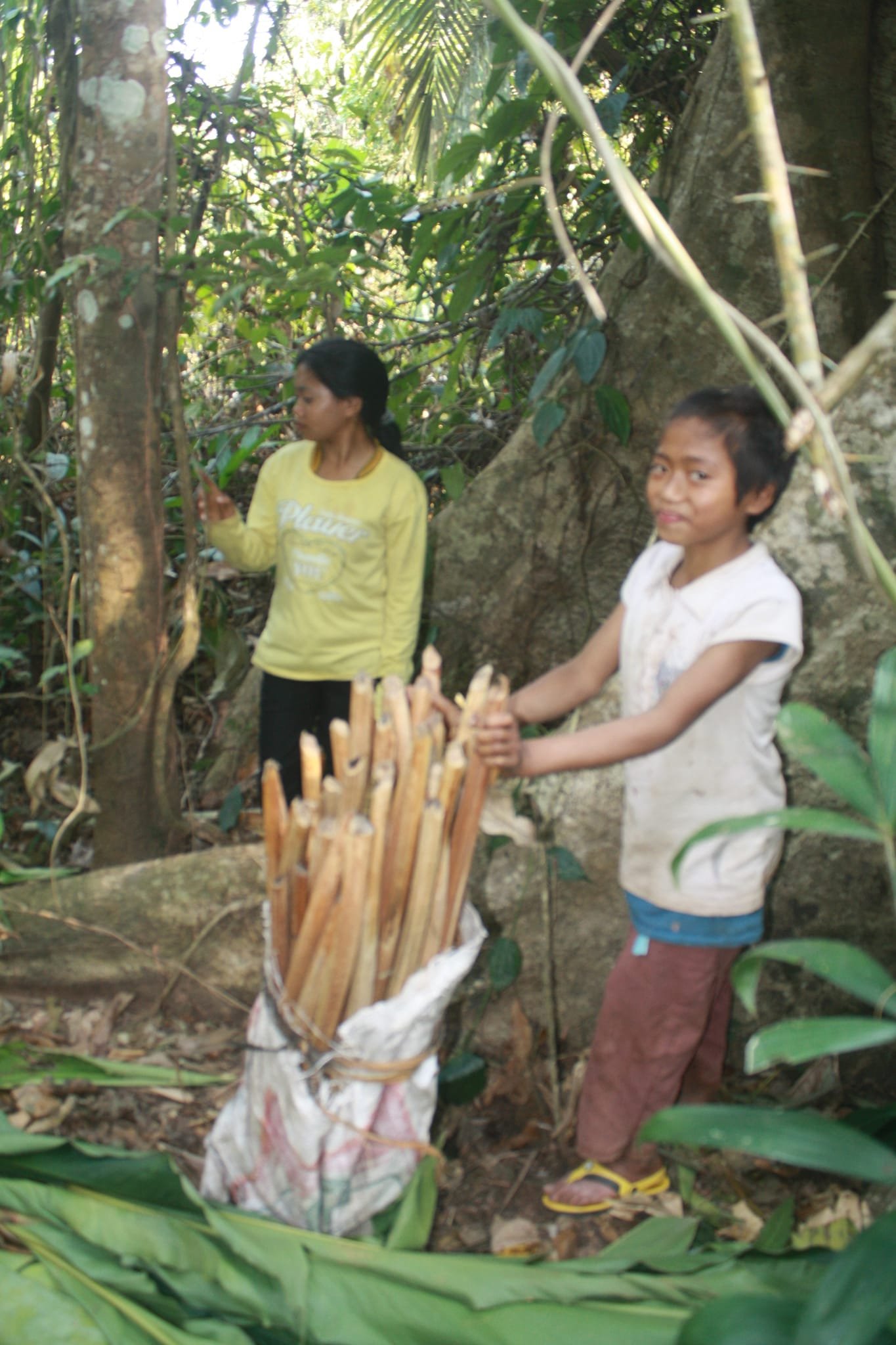3 Days Hike In Dam Sopngam Peryanxangmai Peryenxangkao Nam Porxang - Chakhampa